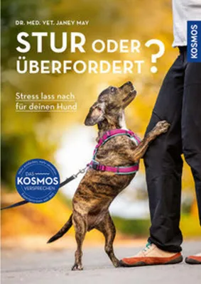 Image de Stur oder überfordert?