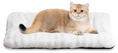Produktbild von Waschbare, weiche Hundebetten für Katzen und kleine Hunde