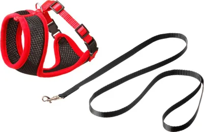 Immagine prodotto di Imbracatura e guinzaglio per gatti Karlie Harms, colore:nero-rosso, taglia:S (Kitty)