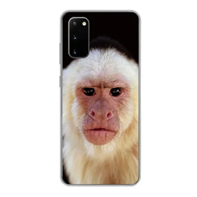 Produktbild von MuchoWow® Handyhülle Schutzhülle Hülle für Samsung Galaxy S20 Affe - Fell - Schwarz Silikon Softcase Handy Hülle - Bild