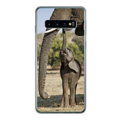 Produktbild von MuchoWow® Handyhülle Schutzhülle Hülle für Samsung Galaxy S10 Elefant - Tiere - Gras - Natur Silikon Softcase Handy Hülle - Handytasche