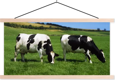 Produktbild von MuchoWow® Textilposter Kuh - Tiere - Gras 60x30 cm mit holzfarbenen Rahmen - Dekoration