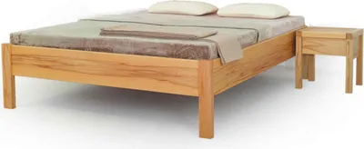 Produktbild von Einzelbett Lisa 120x200 Metallfrei Kernbuche ohne Kopfteil
