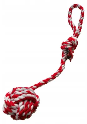 Produktbild von The Zoo Hundespielzeug Zerrseil mit Ball 40cm