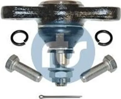 Produktbild von RTS Traggelenk Vorne Rechts Unten Vorne Links für HYUNDAI i30 (FD) 93-08816-056