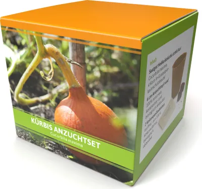 Produktbild von Anzuchtset Kürbis | Anzuchtsets für Werbezwecke von FLORTUS