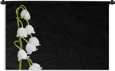Produktbild von MuchoWow® Wandteppich Wandbehang Maiglöckchen - Blumen - Schwarz - Flora 150x100 cm Tapisserie Dekoration Wandtuch - Waschbar - Tapisserien - Wand-Decke