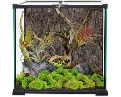 Immagine prodotto di Terrario in vetro 30 x 30 x 30 cm 1 pz
