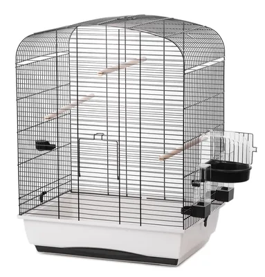 Produktbild von Vogelkäfig Vogelheim Elena schwarz/weiß 54x39x71cm mit Zubehör