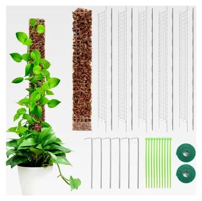Produktbild von 6 Stück Moosstäbe für Monstera Rankhilfe Zimmerpflanze 61 cm Pflanzenstütze für Kletterpflanzen