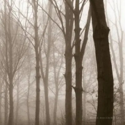Produktbild von Blueneck-Scars Of The Midwest