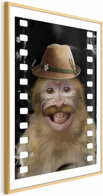 Produktbild von Posterpapier Poster - Monkey in a Hat 40x60 cm Für Kinder g-A-0162-ao-a