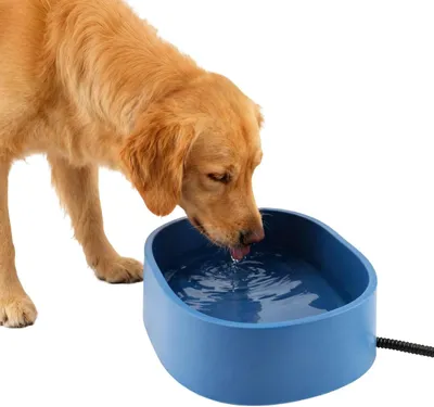 Productafbeelding van Verwarmde Waterbak - Drinkbak Hond - Vorstvrij Drinken - Automatische Verwarming - 25x10.5x31cm - Zwart