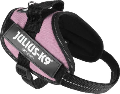 Produktbild von Julius K-9 Idc® Power Mini Gurtzeug Rosa Mini Rosa Mini
