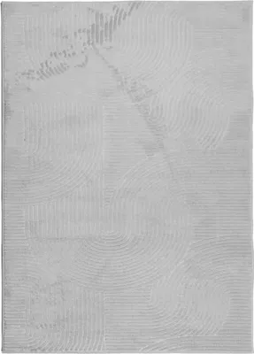 Produktbild von vidaXL Teppich IZA Kurzflor Skandinavischer Look Grau 240x340 cm