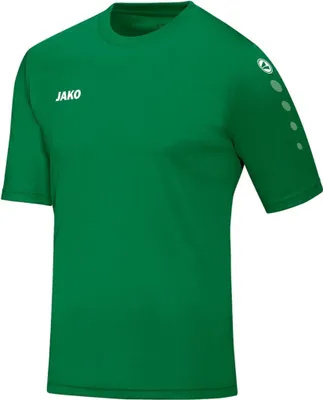 Produktbild von Trikot Team KA JAKO