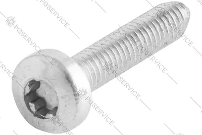 Productafbeelding van Rowenta schroefborgplaat, geschikt voor stoomstrijkijzers Focus Steamium DW50, DW60, DW80, DW92, DZ59