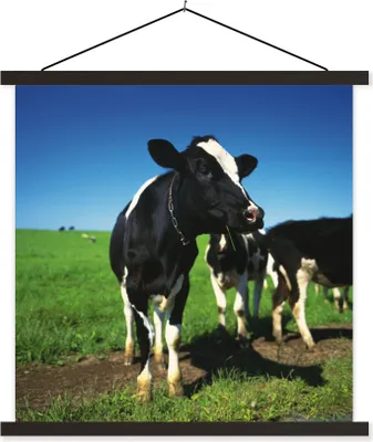 Produktbild von MuchoWow® Textilposter Kuh - Gras - Tiere 120x120 cm mit schwarzem Rahmen - Aufhängungsset