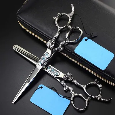 Produktbild von Set mit 6,0-Zoll-Profi-Friseurscheren für Friseure, Friseursalons und zu Hause, Silber