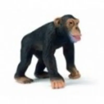 Produktbild von Schleich 14189 – Figur/Miniatur Wildtiere, männliche Schimpansen  SCHLEICH Altersempfehlung: ab 3 Jahren