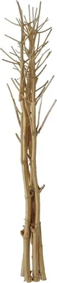 Produktbild von INNA-Glas Weidenzweige, getrocknet, Gold, 160-200cm - Holz Deko Zweige - Deko AST - Naturholz Deko