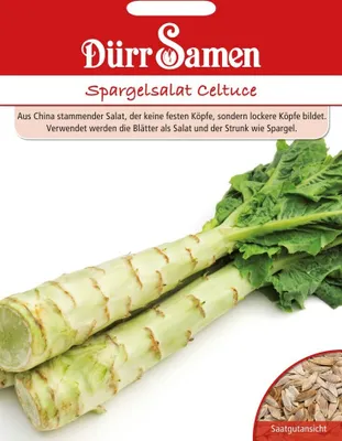 Produktbild von Dürr-Samen - Spargelsalat Celtuce - Saatgut - 1154