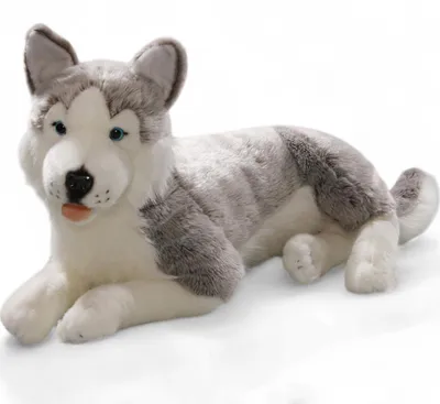 Produktbild von Carl Dick Husky liegend ca. 60cm 2703 Kuscheltier, Plüschtier, Stofftier