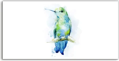 Produktbild von Coloray Acrylbild 100x50  Wandbild Acrylbilder Foto Tiere Kolibris Aquarell Vogel