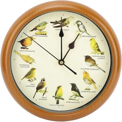 Productafbeelding van Uhr mit 12 heimischen Vogelstimmen braun dekorativ