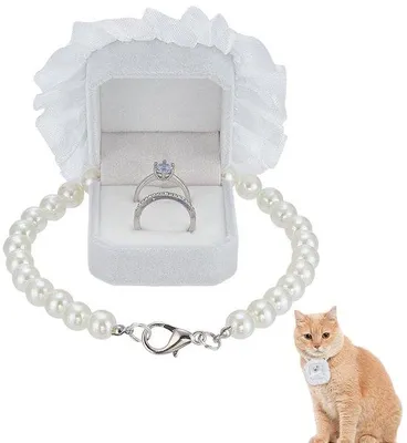 Productafbeelding van Halsband met schroefsluiting - Afneembare kogelsluiting - 29,7 cm