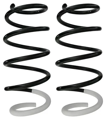 Image de Jeu de ressorts de suspension à spirale avant Ø 152 mm SPIDAN pour divers véhicules