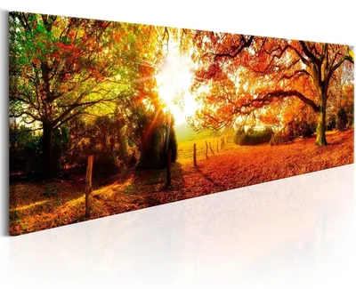 Produktbild von 5743 Herbstwald Leinwandbild 120x40 cm