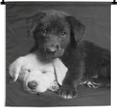 Produktbild von MuchoWow® Wandteppich Wandbehang Hunde - Welpe - Schwarz - Weiß - Tiere 120x120 cm Tapisserie Dekoration Wandtuch - Modern - Baumwollgewebe