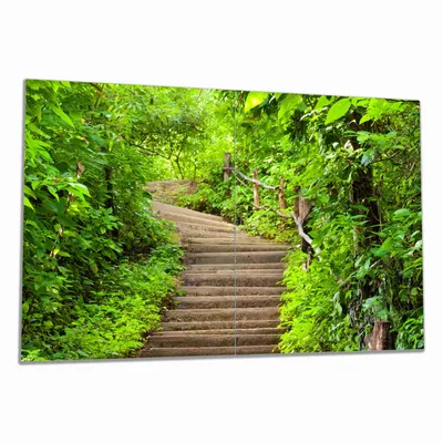 Produktbild von Wallario Herdabdeckplatte aus Glas, Größe 80 x 52 cm 2-teilig, Motiv Steintreppe im Wald
