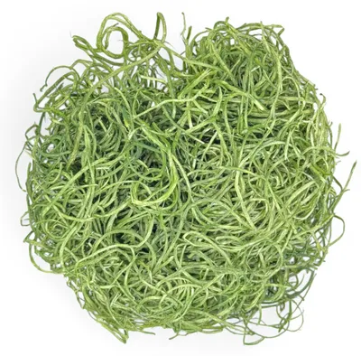 Image de Fibre décoratives en bois – Idéales pour le remplissage et la décoration – 30g – Vert foncé