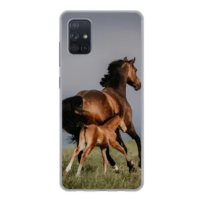 Produktbild von MuchoWow® Handyhülle Schutzhülle Hülle für Samsung Galaxy A71 Tiere - Pferde - Fohlen Silikon Softcase Handy Hülle - Kartenbesitzer