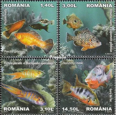 Produktbild von Briefmarken Rumänien 2012 Mi 6625-6628 (kompl.Ausg.) postfrisch Zierfische