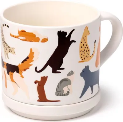 Produktbild von Puckator - Feline Fine Katzen Porzellan Tasse & Untersetzer Set