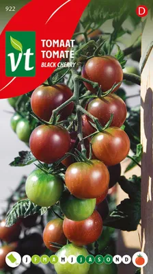Obrázok produktu pre Semená paradajok Black Cherry - cca 0,2 gr | VT_922