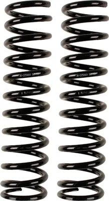 Imagen del producto de 2 amortiguadores delanteros BILSTEIN