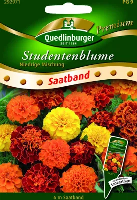 Produktbild von Studentenblume niedrige Mischung Quedlinburger Blumensamen Saatband