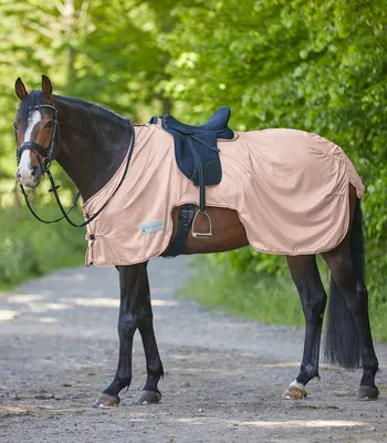 Produktbild von Waldhausen Fliegenausreitdecke Protect