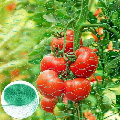 Produktbild von Gartenzaun 4 x 10 m - Feinmaschiges Gartennetz für Pflanzen und Früchte