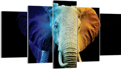 Produktbild von Bild auf Leinwand - Leinwandbild - 5 Teile - Bunt Elefant Fotografie - 160x85cm - Wand Bild - Wanddeko - Wandbilder - Leinwanddruck - Bilder - Wanddekoration - Leinwand bilder - EA160x85-4768