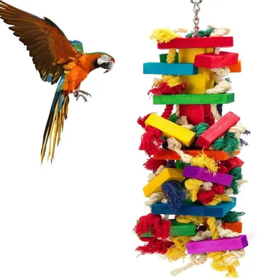 Image de INF Jouet à mâcher pour perroquet - Jouet interactif coton-bois pour jeu et soulagement de l'ennui