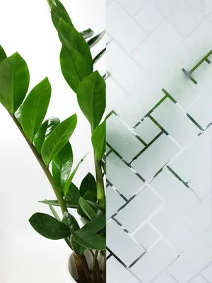 Produktbild von Statisch Fensterfolie 45x50 cm - Rechtecke - Sichtschutzfolie Fenster Milchglasfolie statisch haftend - Folie Fenster für Bad und Büro - Tageslicht genießen, Sichtschutz erhalten