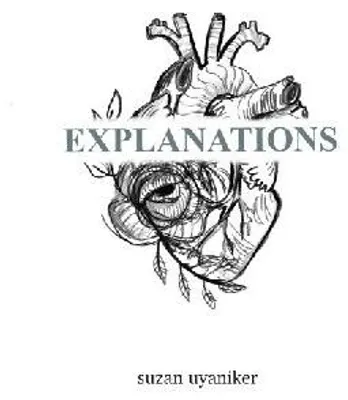 Produktbild von Explanations