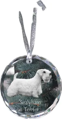 Immagine prodotto di Sealyham Terrier - decorazione in cristallo con foto, foto del cane in cristallo, decorazione natalizia personalizzata del marchio Art-Dog