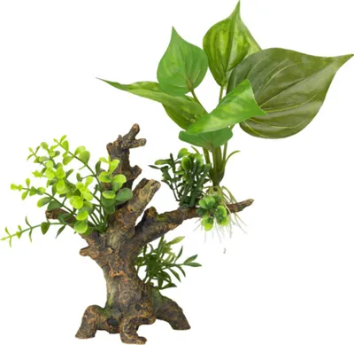 Productafbeelding van Aqua D'ella Florascape 6 S 14,5x9x16,5CM