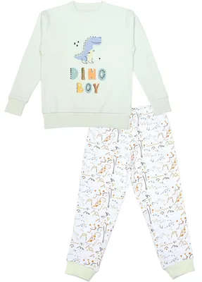Produktbild von TupTam Kinder Jungen Pyjama Schlafanzug Set Langarm Nachtwäsche 2-teilig, Farbe: Dinoboy, Größe: 110
